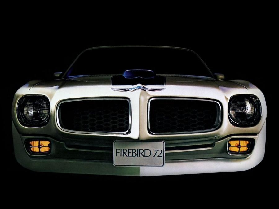  Pontiac Firebird Trans Am 1973 года  (фото 5 из 11)